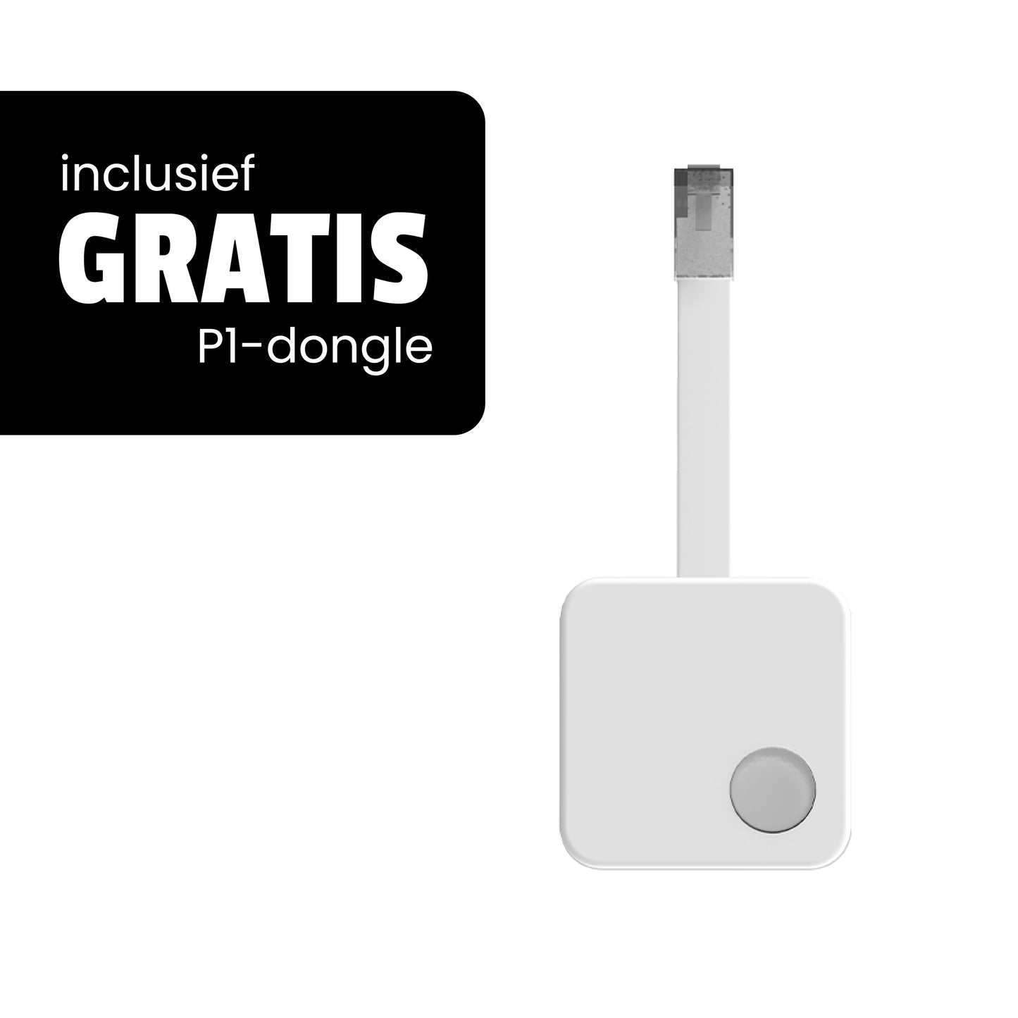 ZinVolt Thuisbatterij